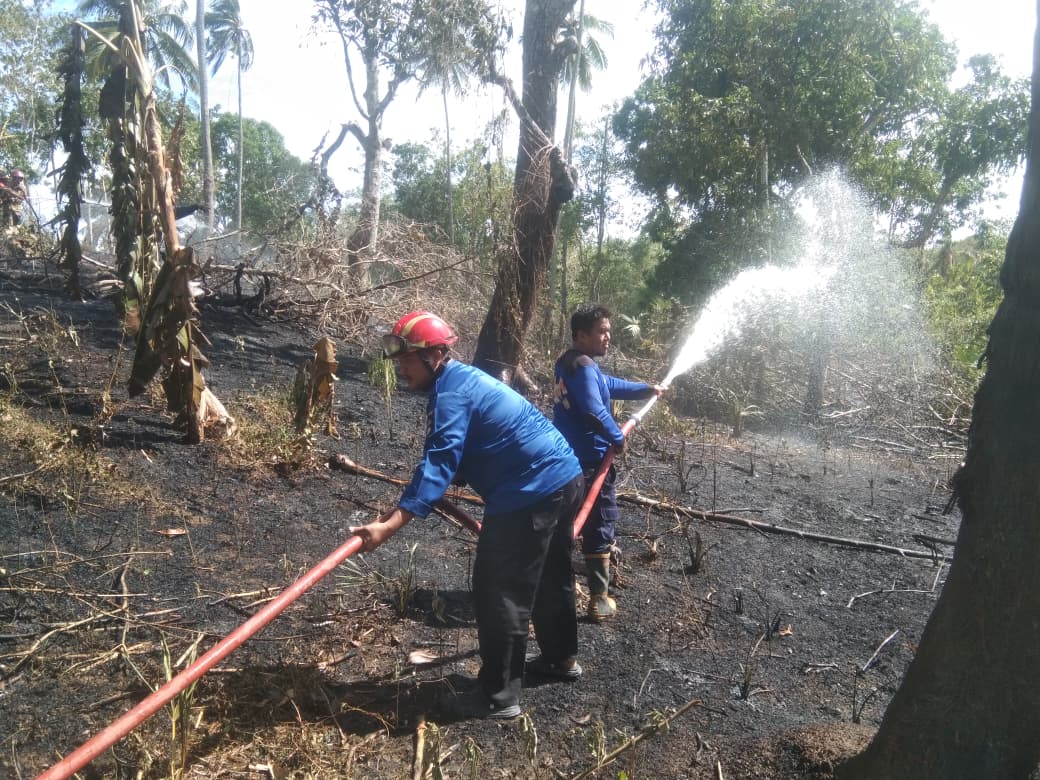 Kebakaran Lahan Terjadi di Desa Mario, Pemdes Bersama Masyarakat dan Damkar Lakukan Pemadaman